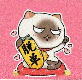 读者白岸头像